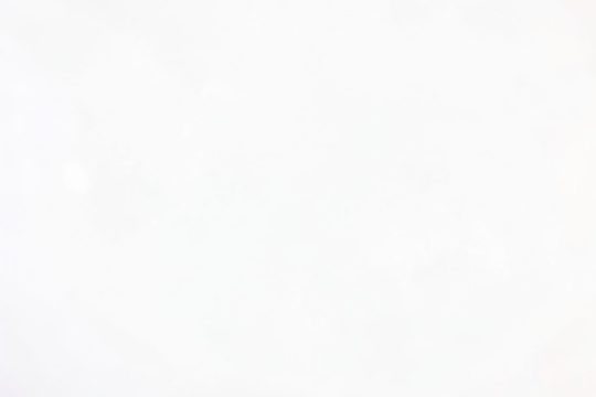 13413150_286906798317800_7148159109730788100_n
